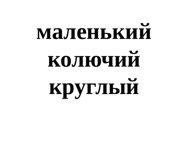 маленький  колючий  круглый 