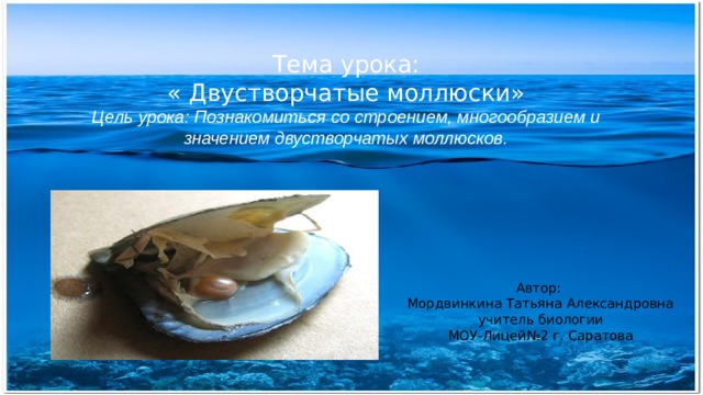  Тема урока: « Двустворчатые моллюски» Цель урока: Познакомиться со строением, многообразием и значением двустворчатых моллюсков. Автор: Мордвинкина Татьяна Александровна  учитель биологии МОУ-Лицей№2 г. Саратова 