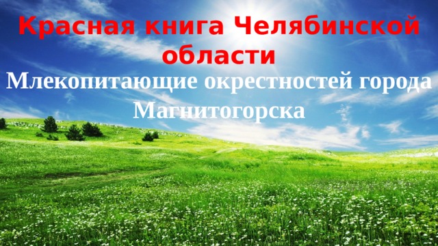Красная книга Челябинской области Млекопитающие окрестностей города Магнитогорска . 