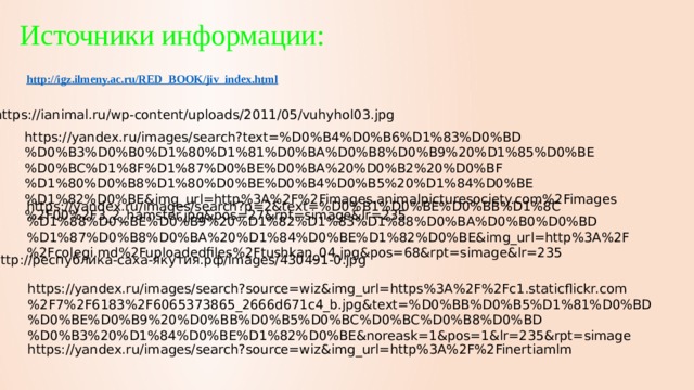 Источники информации: https://ianimal.ru/wp-content/uploads/2011/05/vuhyhol03.jpg https://yandex.ru/images/search?text=%D0%B4%D0%B6%D1%83%D0%BD%D0%B3%D0%B0%D1%80%D1%81%D0%BA%D0%B8%D0%B9%20%D1%85%D0%BE%D0%BC%D1%8F%D1%87%D0%BE%D0%BA%20%D0%B2%20%D0%BF%D1%80%D0%B8%D1%80%D0%BE%D0%B4%D0%B5%20%D1%84%D0%BE%D1%82%D0%BE&img_url=http%3A%2F%2Fimages.animalpicturesociety.com%2Fimages%2F00%2F3_2_hamster.jpg&pos=27&rpt=simage&lr=235 https://yandex.ru/images/search?p=2&text=%D0%B1%D0%BE%D0%BB%D1%8C%D1%88%D0%BE%D0%B9%20%D1%82%D1%83%D1%88%D0%BA%D0%B0%D0%BD%D1%87%D0%B8%D0%BA%20%D1%84%D0%BE%D1%82%D0%BE&img_url=http%3A%2F%2Fcolegi.md%2Fuploadedfiles%2Ftushkan_04.jpg&pos=68&rpt=simage&lr=235 http://республика-саха-якутия.рф/images/430491-0.jpg https://yandex.ru/images/search?source=wiz&img_url=https%3A%2F%2Fc1.staticflickr.com%2F7%2F6183%2F6065373865_2666d671c4_b.jpg&text=%D0%BB%D0%B5%D1%81%D0%BD%D0%BE%D0%B9%20%D0%BB%D0%B5%D0%BC%D0%BC%D0%B8%D0%BD%D0%B3%20%D1%84%D0%BE%D1%82%D0%BE&noreask=1&pos=1&lr=235&rpt=simage https://yandex.ru/images/search?source=wiz&img_url=http%3A%2F%2Finertiamlm 
