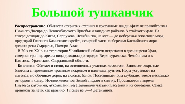 Большой тушканчик Распространение . Обитает в открытых степных и пустынных ландшафтах от правобережья Нижнего Днепра до Новосибирского Приобья и западных районов Алтайского края. На севере доходит до Киева, Серпухова, Челябинска, на юге — до побережья Азовского моря, предгорий Главного Кавказского хребта, северной части побережья Каспийского моря, долины реки Сырдарьи, Памиро-Алая.     В 70-х гг. ХХ в. на территории Челябинской области встречался в долине реки Урал, северная граница ареала вида доходила до городов Верхнеуральска, Челябинска и г. Каменска-Уральского Свердловской области.     Биология . Обитает в степи, на остепненных участках лесостепи. Занимает открытые биотопы с изреженным травяным покровом и плотным грунтом. Норы устраивает на выгонах, по обочинам дорог, на склонах балок. Постоянные норы глубокие, имеют несколько отнорков и камер. Ночное животное. Зимой впадает в спячку. Просыпается в апреле. Питается клубнями, луковицами, вегетативными частями растений и их семенами. Самка приносит за лето, как правило, 1 помет из 3—4 детенышей.   