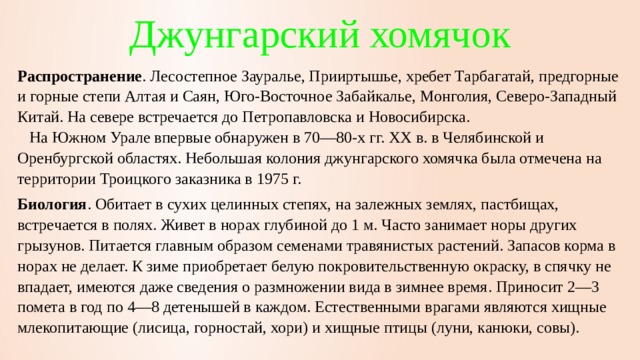 Джунгарский хомячок Распространение . Лесостепное Зауралье, Прииртышье, хребет Тарбагатай, предгорные и горные степи Алтая и Саян, Юго-Восточное Забайкалье, Монголия, Северо-Западный Китай. На севере встречается до Петропавловска и Новосибирска.     На Южном Урале впервые обнаружен в 70—80-х гг. ХХ в. в Челябинской и Оренбургской областях. Небольшая колония джунгарского хомячка была отмечена на территории Троицкого заказника в 1975 г. Биология . Обитает в сухих целинных степях, на залежных землях, пастбищах, встречается в полях. Живет в норах глубиной до 1 м. Часто занимает норы других грызунов. Питается главным образом семенами травянистых растений. Запасов корма в норах не делает. К зиме приобретает белую покровительственную окраску, в спячку не впадает, имеются даже сведения о размножении вида в зимнее время. Приносит 2—3 помета в год по 4—8 детенышей в каждом. Естественными врагами являются хищные млекопитающие (лисица, горностай, хори) и хищные птицы (луни, канюки, совы). 