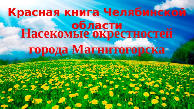 Красная книга Челябинской области Насекомые окрестностей города Магнитогорска 