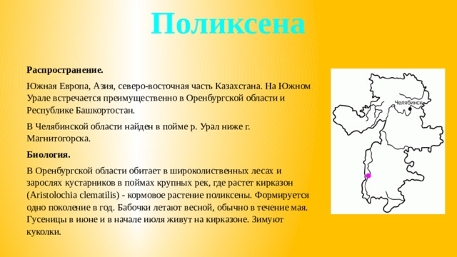 Поликсена Распространение. Южная Европа, Азия, северо-восточная часть Казахстана. На Южном Урале встречается преимущественно в Оренбургской области и Республике Башкортостан. В Челябинской области найден в пойме р. Урал ниже г. Магнитогорска. Биология. В Оренбургской области обитает в широколиственных лесах и зарослях кустарников в поймах крупных рек, где растет кирказон (Aristolochia clematilis) - кормовое растение поликсены. Формируется одно поколение в год. Бабочки летают весной, обычно в течение мая. Гусеницы в июне и в начале июля живут на кирказоне. Зимуют куколки. 