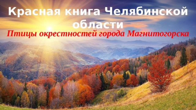 Красная книга Челябинской области Птицы окрестностей города Магнитогорска 