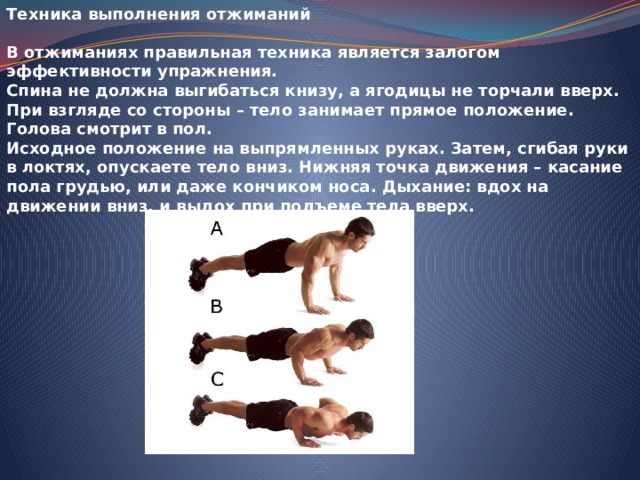 Техника выполнения отжиманий В отжиманиях правильная техника является залогом эффективности упражнения. Спина не должна выгибаться книзу, а ягодицы не торчали вверх. При взгляде со стороны – тело занимает прямое положение. Голова смотрит в пол. Исходное положение на выпрямленных руках. Затем, сгибая руки в локтях, опускаете тело вниз. Нижняя точка движения – касание пола грудью, или даже кончиком носа. Дыхание: вдох на движении вниз, и выдох при подъеме тела вверх. 
