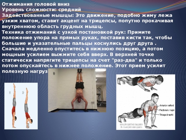 Отжимания головой вниз Уровень сложности: средний Задействованные мышцы: Это движение, подобно жиму лежа узким хватом, ставит акцент на трицепсы, попутно прокачивая внутреннюю область грудных мышц. Техника отжиманий с узкой постановкой рук: Примите положение упора на прямых руках, поставив кисти так, чтобы большие и указательные пальцы коснулись друг друга . Сначала медленно опуститесь в нижнюю позицию, а потом мощным усилием выжмите себя вверх. В верхней точке статически напрягите трицепсы на счет 