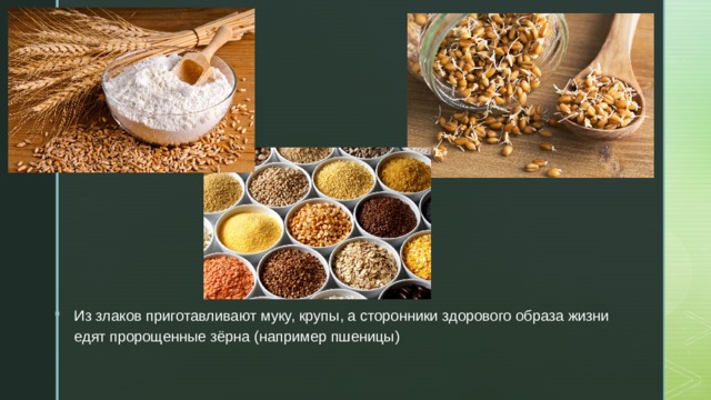 Из злаков приготавливают муку, крупы, а сторонники здорового образа жизни едят пророщенные зёрна (например пшеницы) 