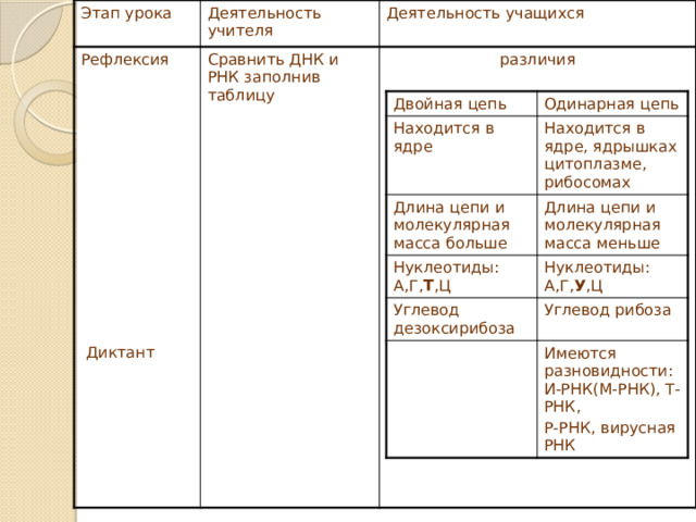 Этап урока Деятельность учителя Рефлексия Деятельность учащихся Сравнить ДНК и РНК заполнив таблицу различия  Диктант Двойная цепь Одинарная цепь Находится в ядре Длина цепи и молекулярная масса больше Находится в ядре, ядрышках цитоплазме, рибосомах Длина цепи и молекулярная масса меньше Нуклеотиды: А,Г, Т ,Ц Нуклеотиды: А,Г, У ,Ц Углевод дезоксирибоза Углевод рибоза Имеются разновидности: И-РНК(М-РНК), Т-РНК, Р-РНК, вирусная РНК 