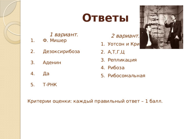 Ответы 1 вариант. Ф. Мишер Дезоксирибоза Аденин Да Т-РНК 2 вариант. Уотсон и Крик А,Т,Г,Ц Репликация Рибоза Рибосомальная Критерии оценки: каждый правильный ответ – 1 балл. 