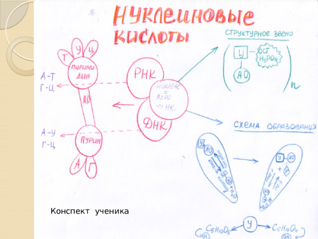 Конспект ученика 