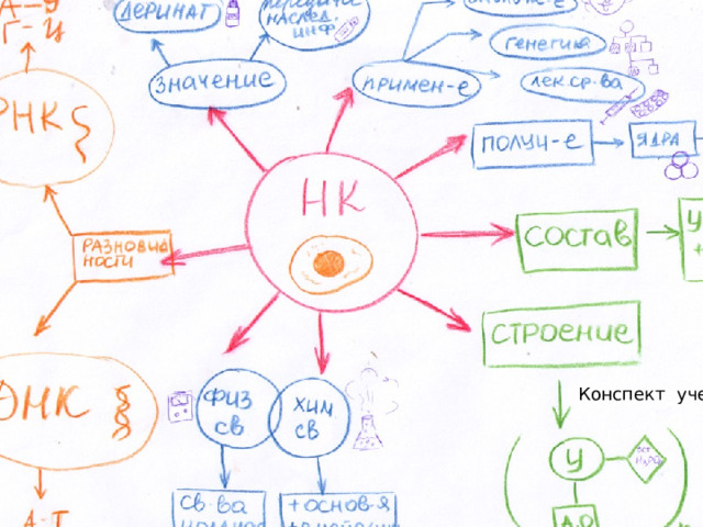 Конспект ученика 