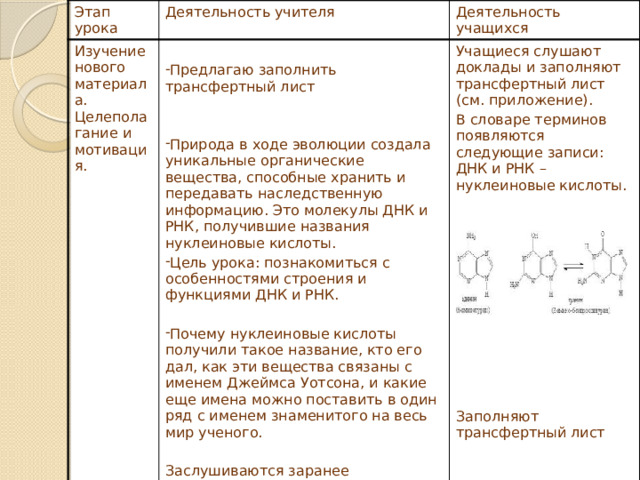 Этап урока Деятельность учителя Изучение нового материала. Целеполагание и мотивация. Деятельность учащихся Учащиеся слушают доклады и заполняют трансфертный лист (см. приложение). Предлагаю заполнить трансфертный лист В словаре терминов появляются следующие записи: ДНК и РНК – нуклеиновые кислоты. Природа в ходе эволюции создала уникальные органические вещества, способные хранить и передавать наследственную информацию. Это молекулы ДНК и РНК, получившие названия нуклеиновые кислоты. Цель урока: познакомиться с особенностями строения и функциями ДНК и РНК. Почему нуклеиновые кислоты получили такое название, кто его дал, как эти вещества связаны с именем Джеймса Уотсона, и какие еще имена можно поставить в один ряд с именем знаменитого на весь мир ученого. Заслушиваются заранее подготовленные доклады. Заполняют трансфертный лист 