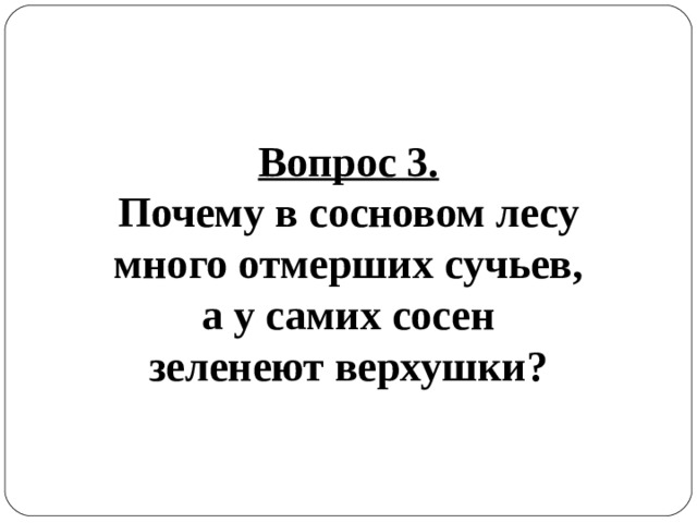 Вопрос 3. Почему в сосновом лесу много отмерших сучьев, а у самих сосен зеленеют верхушки? 