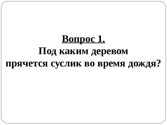 Вопрос 1. Под каким деревом прячется суслик во время дождя? 