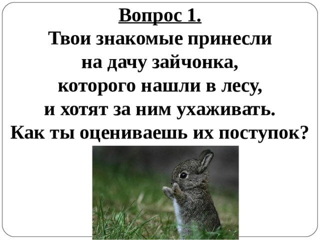 Вопрос 1. Твои знакомые принесли на дачу зайчонка, которого нашли в лесу, и хотят за ним ухаживать. Как ты оцениваешь их поступок? 