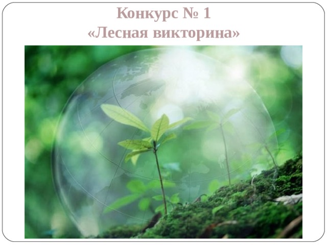 Конкурс № 1 «Лесная викторина» 