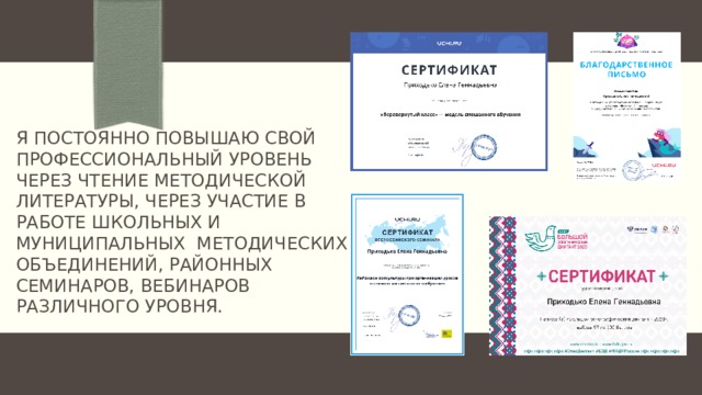 Я постоянно повышаю свой профессиональный уровень через чтение методической литературы, через участие в работе школьных и муниципальных  методических объединений, районных  семинаров, вебинаров различного уровня. 
