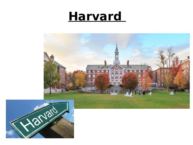 Harvard 