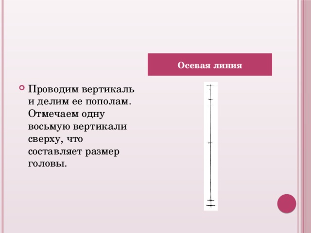 Осевая линия Проводим вертикаль и делим ее пополам. Отмечаем одну восьмую вертикали сверху, что составляет размер головы.  