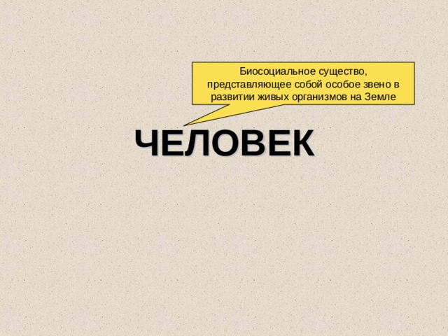 Биосоциальное существо, представляющее собой особое звено в развитии живых организмов на Земле ЧЕЛОВЕК 