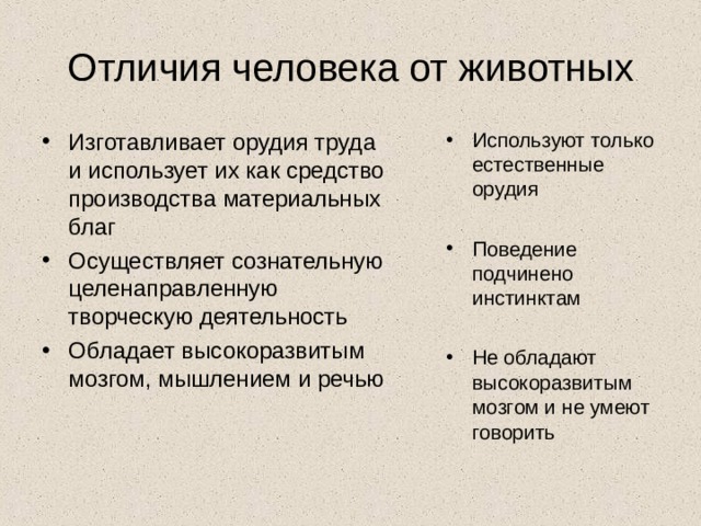 Отличия человека от животных Изготавливает орудия труда и использует их как средство производства материальных благ Осуществляет сознательную целенаправленную творческую деятельность Обладает высокоразвитым мозгом, мышлением и речью  Используют только естественные орудия Поведение подчинено инстинктам Не обладают высокоразвитым мозгом и не умеют говорить 