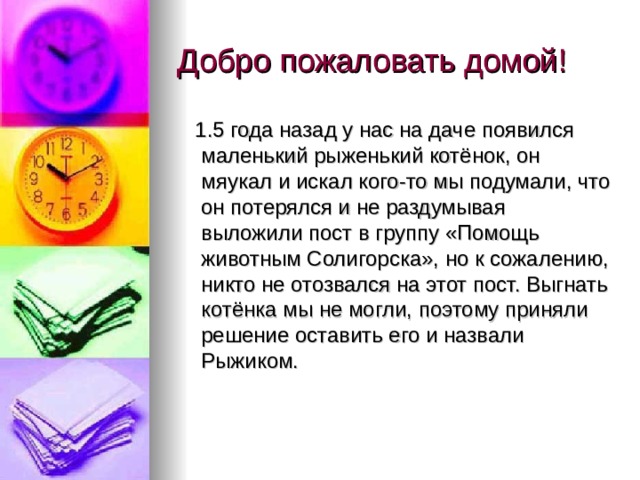  1.5 года назад у нас на даче появился маленький рыженький котёнок, он мяукал и искал кого-то мы подумали, что он потерялся и не раздумывая выложили пост в группу «Помощь животным Солигорска», но к сожалению, никто не отозвался на этот пост. Выгнать котёнка мы не могли, поэтому приняли решение оставить его и назвали Рыжиком. 