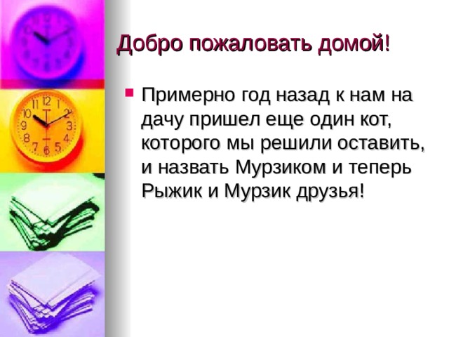 Примерно год назад к нам на дачу пришел еще один кот, которого мы решили оставить, и назвать Мурзиком и теперь Рыжик и Мурзик друзья! 