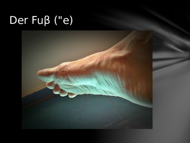 Der Fuβ (
