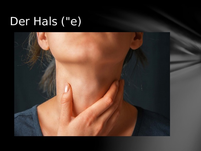Der Hals (