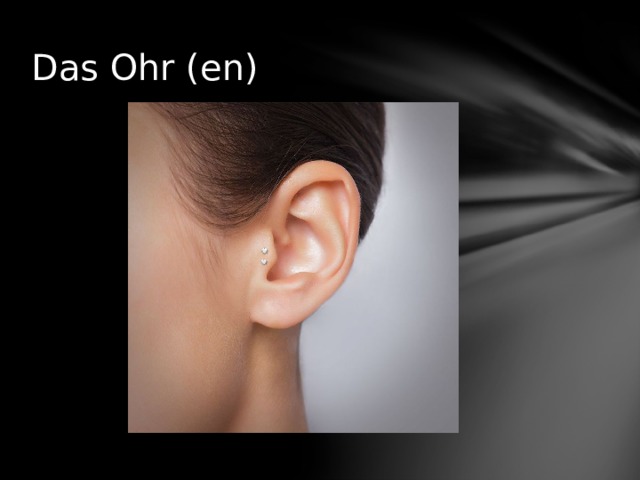 Das Ohr (en) 