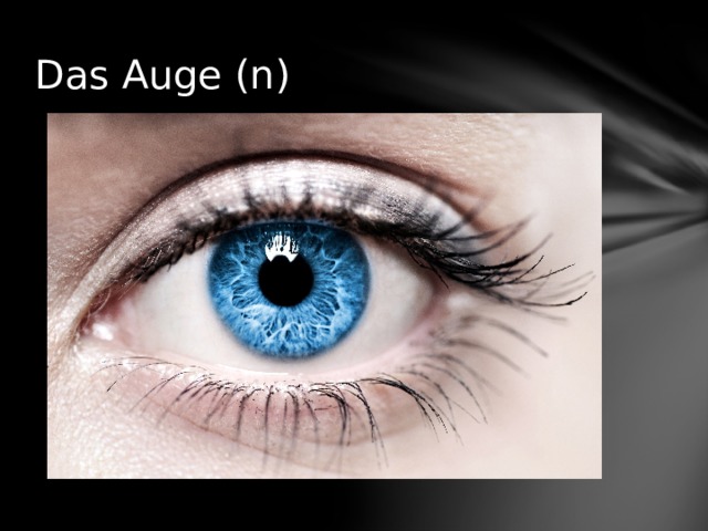 Das Auge (n) 