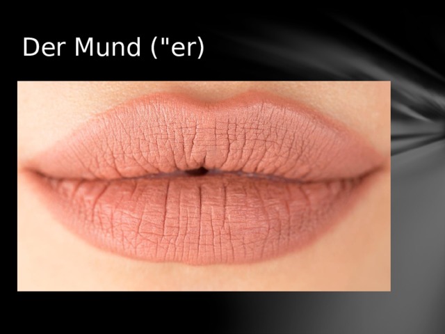 Der Mund (
