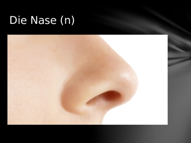 Die Nase (n) 