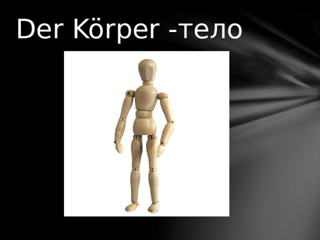 Der Körper -тело 