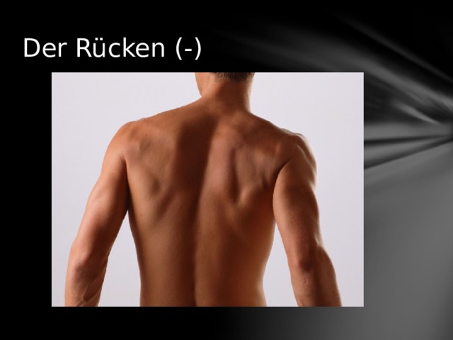 Der Rücken (-)  