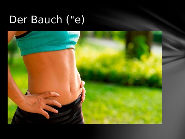 Der Bauch (