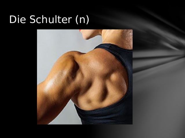 Die Schulter (n) 