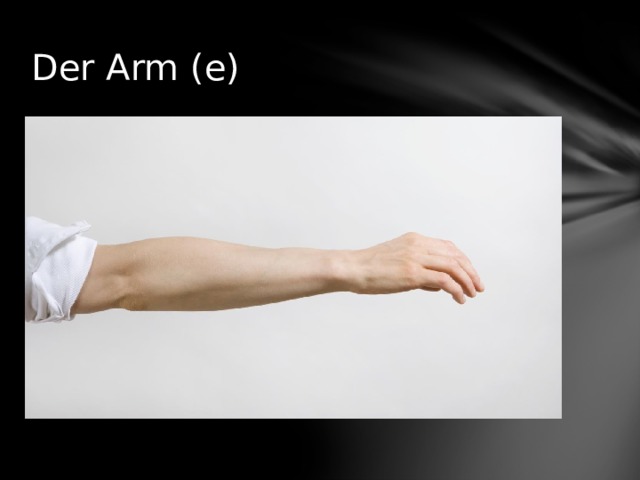Der Arm (e) 