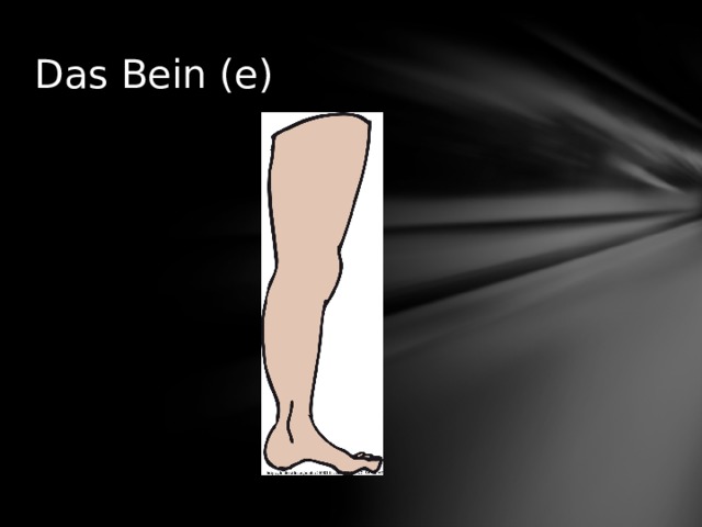 Das Bein (e) 
