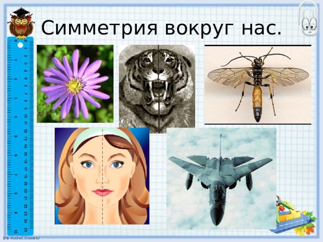 Симметрия вокруг нас. 