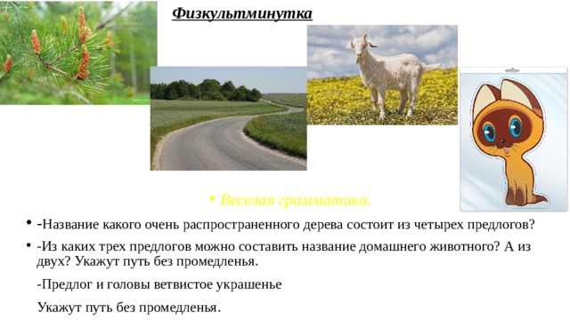 Физкультминутка Веселая грамматика. - Название какого очень распространенного дерева состоит из четырех предлогов? -Из каких трех предлогов можно составить название домашнего животного? А из двух? Укажут путь без промедленья.  -Предлог и головы ветвистое украшенье  Укажут путь без промедленья. 