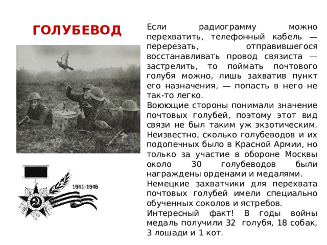 Если радиограмму можно перехватить, телефонный кабель — перерезать, отправившегося восстанавливать провод связиста — застрелить, то поймать почтового голубя можно, лишь захватив пункт его назначения, — попасть в него не так-то легко. Воюющие стороны понимали значение почтовых голубей, поэтому этот вид связи не был таким уж экзотическим. Неизвестно, сколько голубеводов и их подопечных было в Красной Армии, но только за участие в обороне Москвы около 30 голубеводов были награждены орденами и медалями. Немецкие захватчики для перехвата почтовых голубей имели специально обученных соколов и ястребов. Интересный факт! В годы войны медаль получили 32 голубя, 18 собак, 3 лошади и 1 кот. ГОЛУБЕВОД 