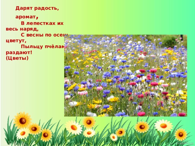 Дарят радость, аромат ,  В лепестках их весь наряд,  С весны по осень цветут,  Пыльцу пчёлам раздают! (Цветы)  