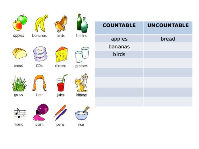 COUNTABLE UNCOUNTABLE apples  bread bananas birds 