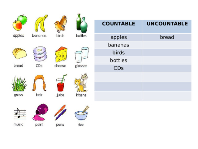 COUNTABLE UNCOUNTABLE apples  bread bananas birds bottles CDs 