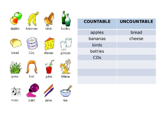 COUNTABLE UNCOUNTABLE apples  bread bananas cheese birds bottles CDs 