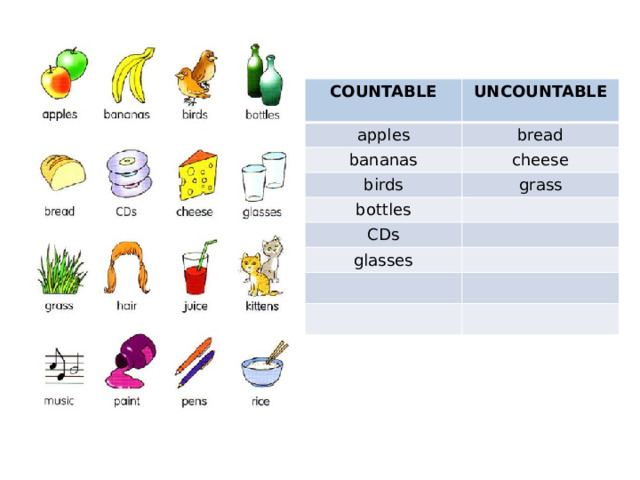 COUNTABLE UNCOUNTABLE apples  bread bananas cheese birds grass bottles CDs glasses 