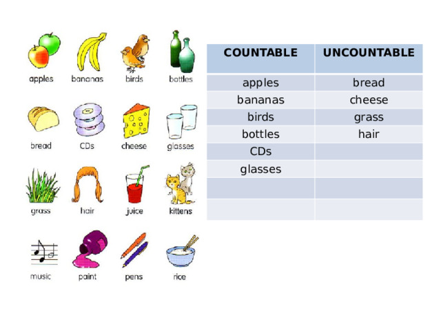 COUNTABLE UNCOUNTABLE apples  bread bananas cheese birds grass bottles hair CDs glasses 