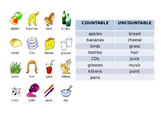 COUNTABLE apples UNCOUNTABLE  bread bananas cheese birds bottles grass CDs hair juice glasses music kittens paint pens 